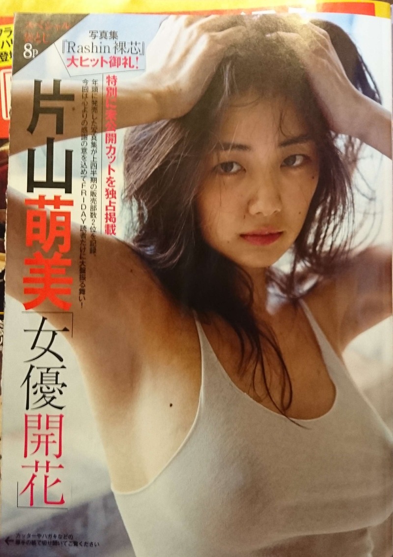 片山 萌 美 乳 輪